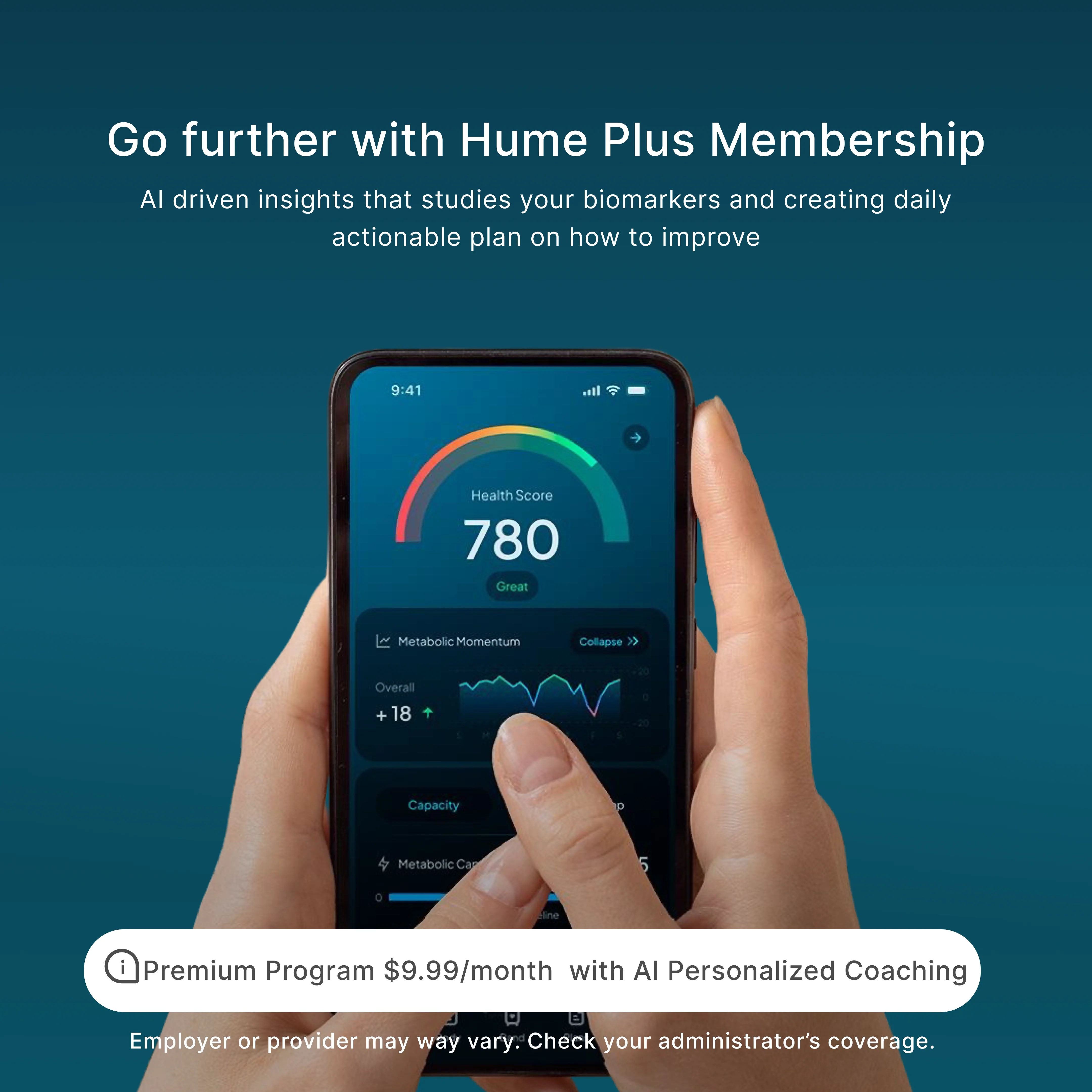 Hume Band + Lifetime - Image 7